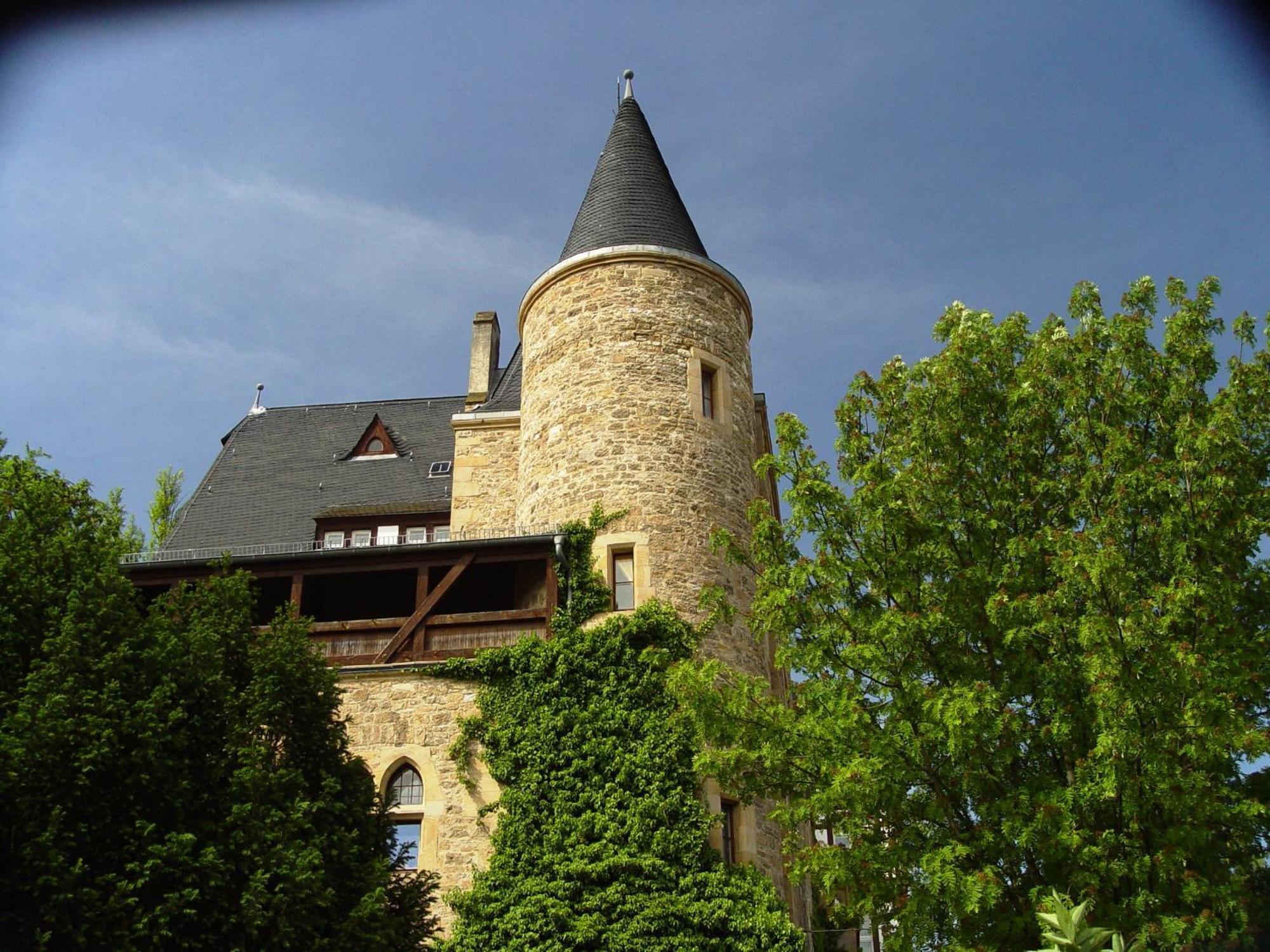 2 Zimmer Wohnung, Kueche, Bad, Balkon, Netflix Alzey Buitenkant foto